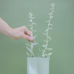 houseplants-supplies-shop_about_img.jpg